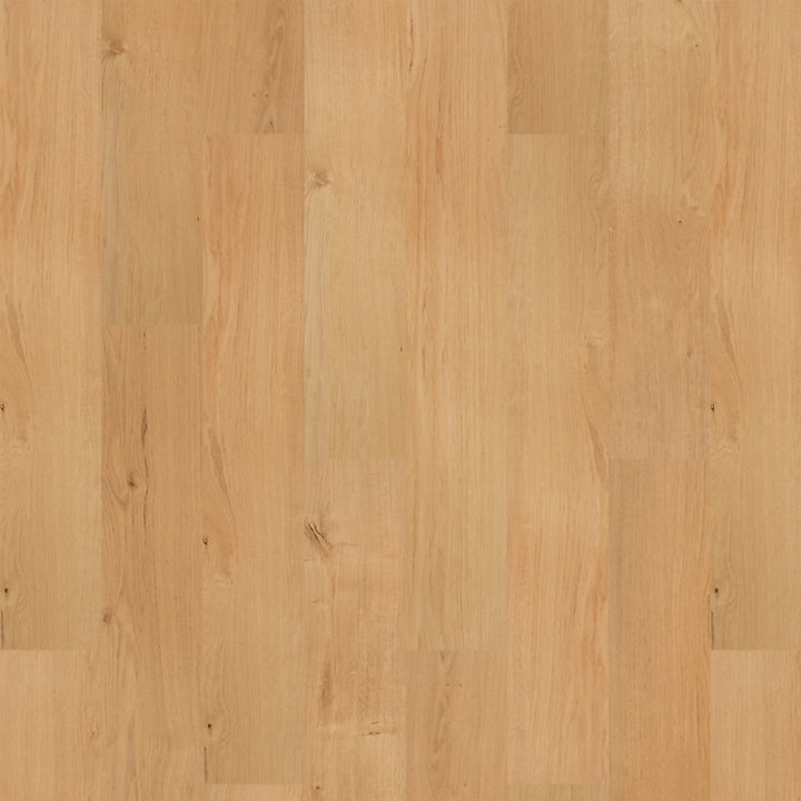 SolidTech R Plus   Serie  (DAT)