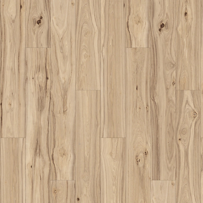 PureTech Plus   Serie  (DAT)