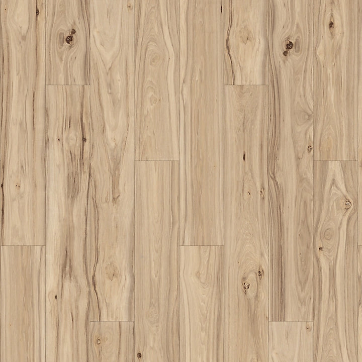 PureTech Plus   Serie  (DAT)