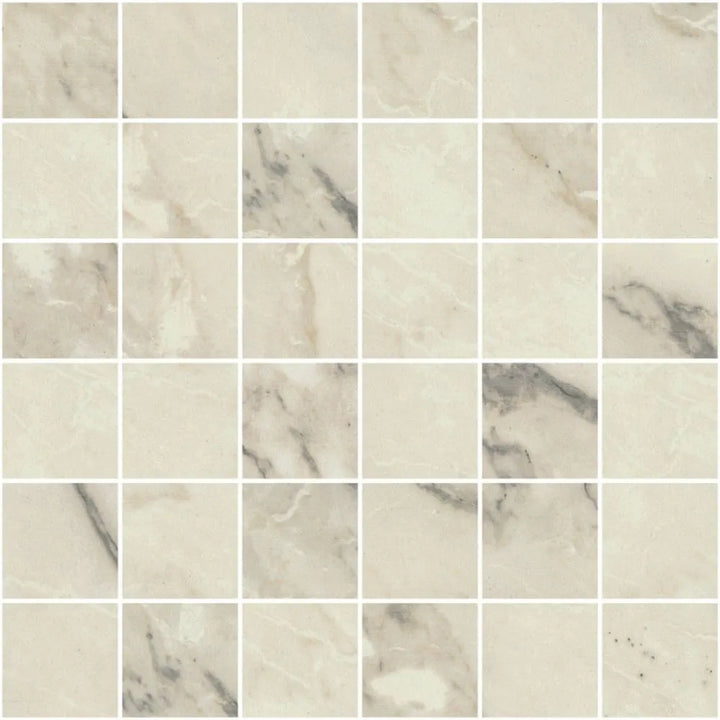 Neostone ®    (CTS)