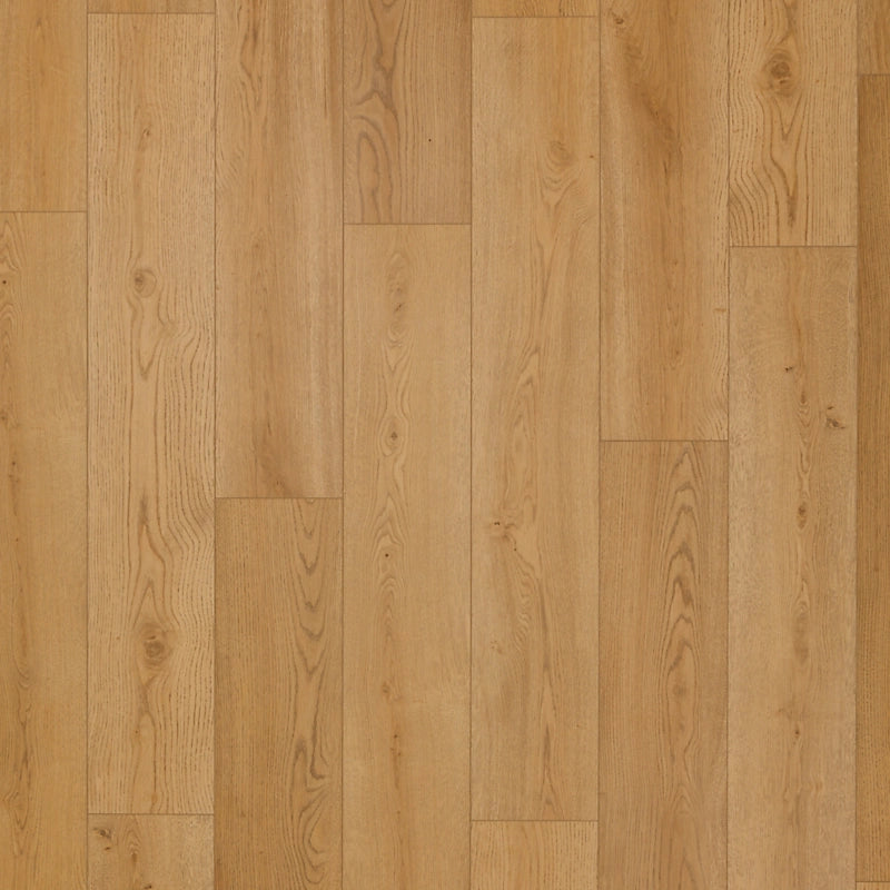 SolidTech Select   Serie  (DAT)