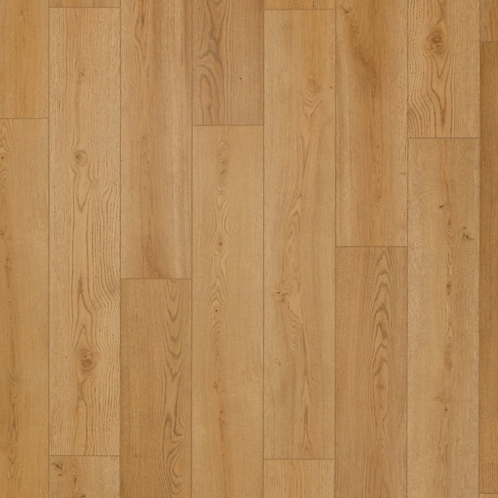 SolidTech Select   Serie  (DAT)