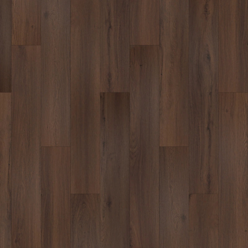 SolidTech Essentials   Serie  (DAT)