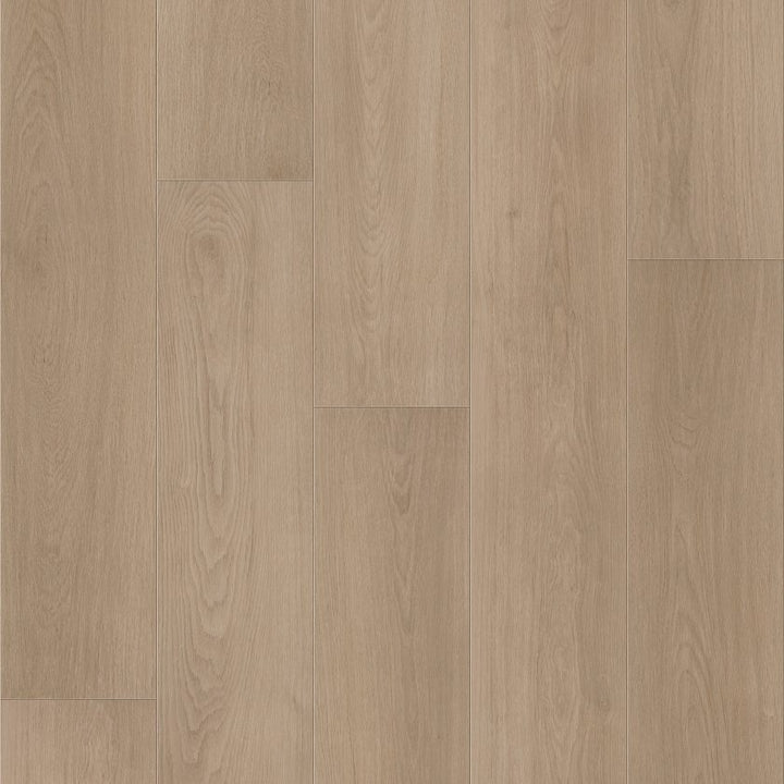 Shawfloors    Fresh Take    Series  (Shaw)