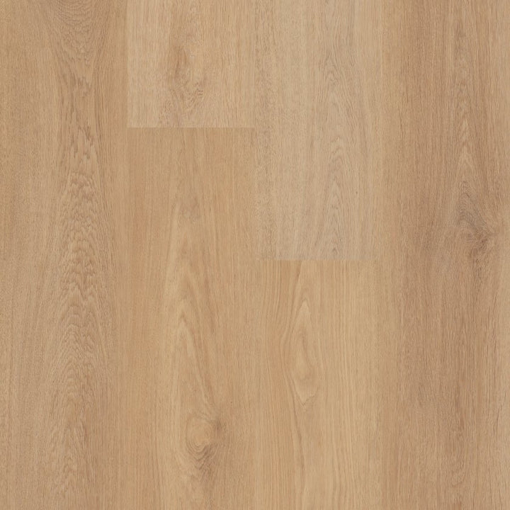 Shawfloors    Briard    Series  (Shaw)