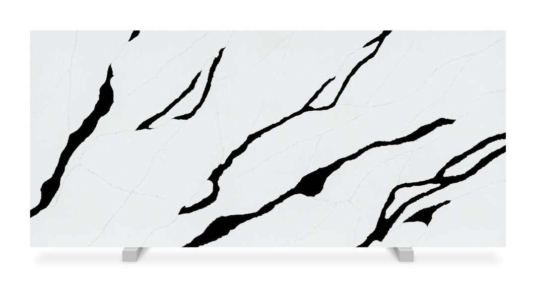 OHM International     Bernini    Series ®    (OH)