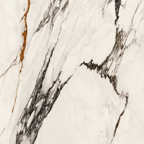 Porcelanosa           Paonazzo         Series