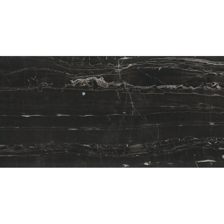EmserTile       BLACK SILK      Series  (EM)
