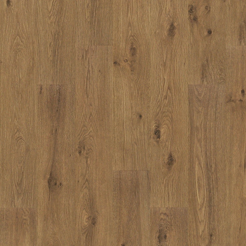 PureTech Premier   Serie  (DAT)