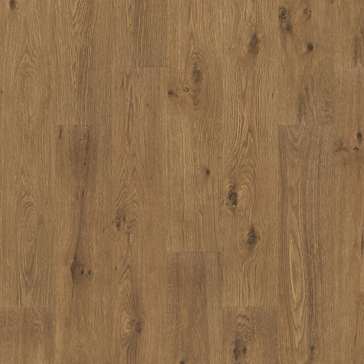 PureTech Premier   Serie  (DAT)