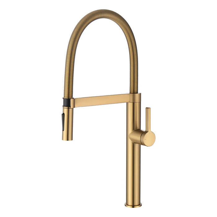 Neo Pro-style Single Handle Kitchen Faucet - CKF-2021 (CF)