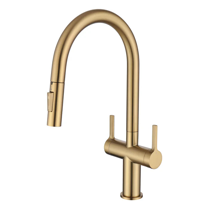 Neo Single Hole Two Handle Pull Down Kitchen Faucet - CKF-2020 (CF)