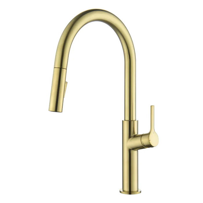 Neo Single Handle Pull Down Kitchen Sink Faucet - CKF-2018 (CF)