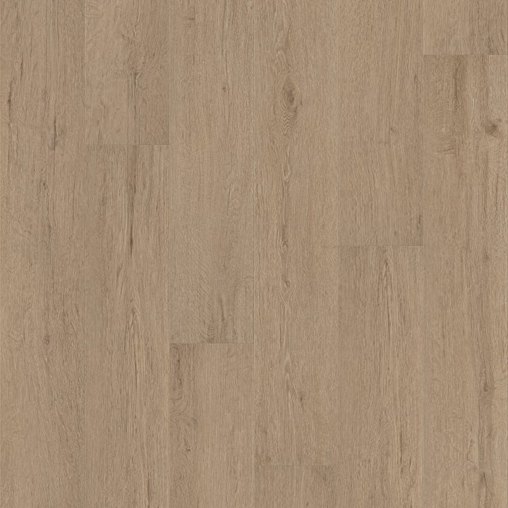 Shawfloors    Pantheon Hd+ Natural Bevel    Series  (Shaw)