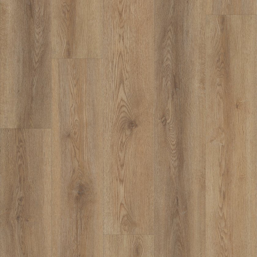 Shawfloors    Pantheon Hd Plus    Series  (Shaw)