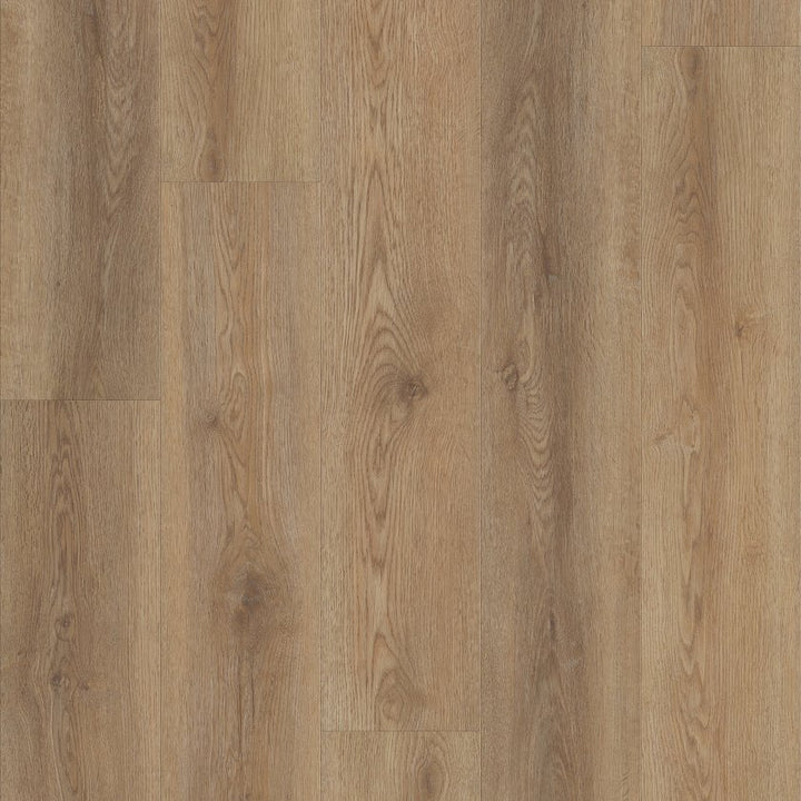 Shawfloors    Pantheon Hd Plus    Series  (Shaw)