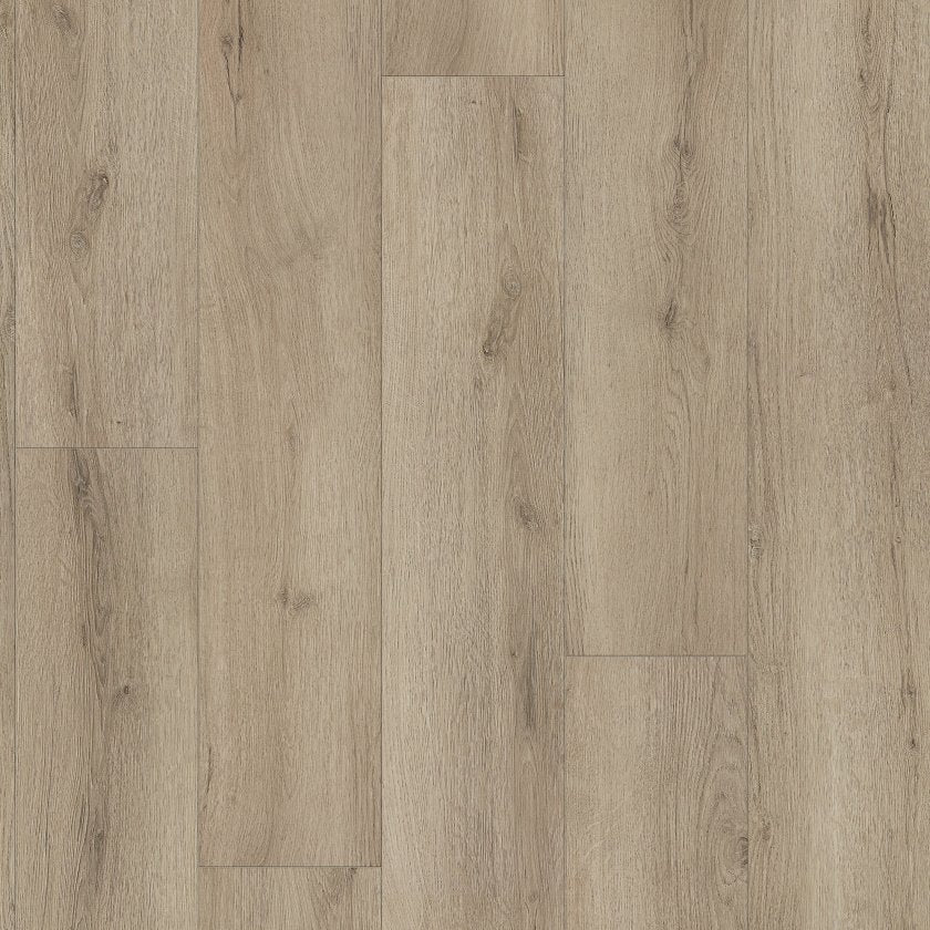 Shawfloors    Homeward    Series  (Shaw)