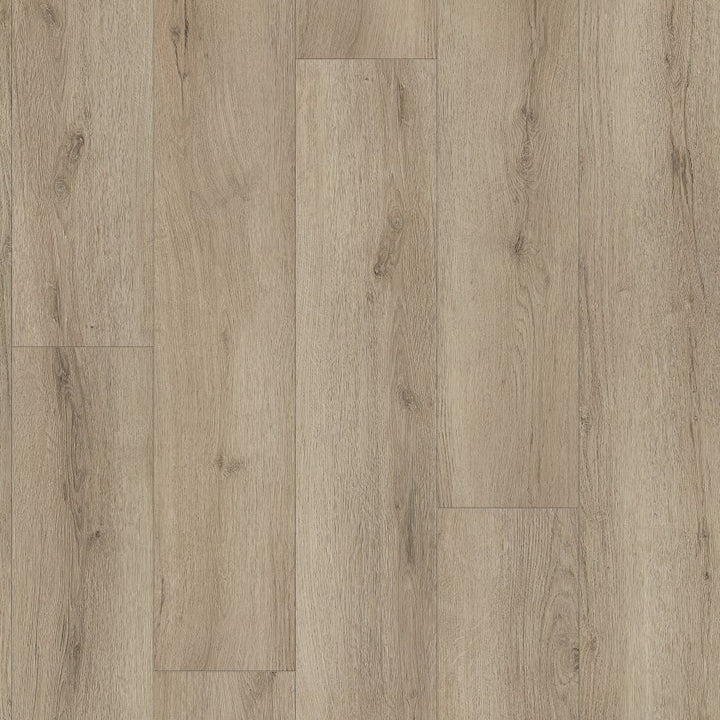 Shawfloors    Homeward    Series  (Shaw)