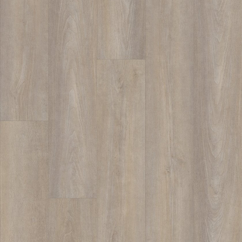 Shawfloors    Pantheon Hd Plus    Series  (Shaw)