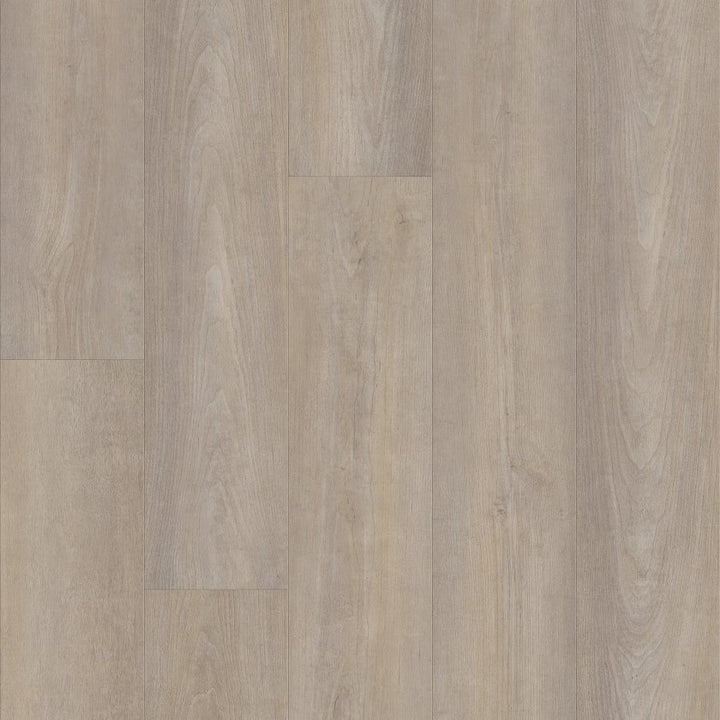 Shawfloors    Pantheon Hd Plus    Series  (Shaw)