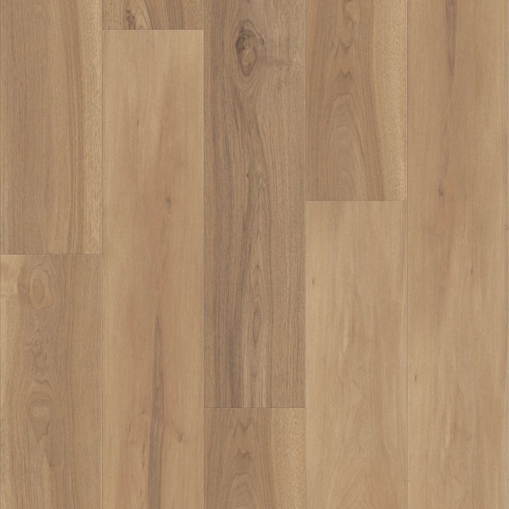 Shawfloors    Fresh Take    Series  (Shaw)