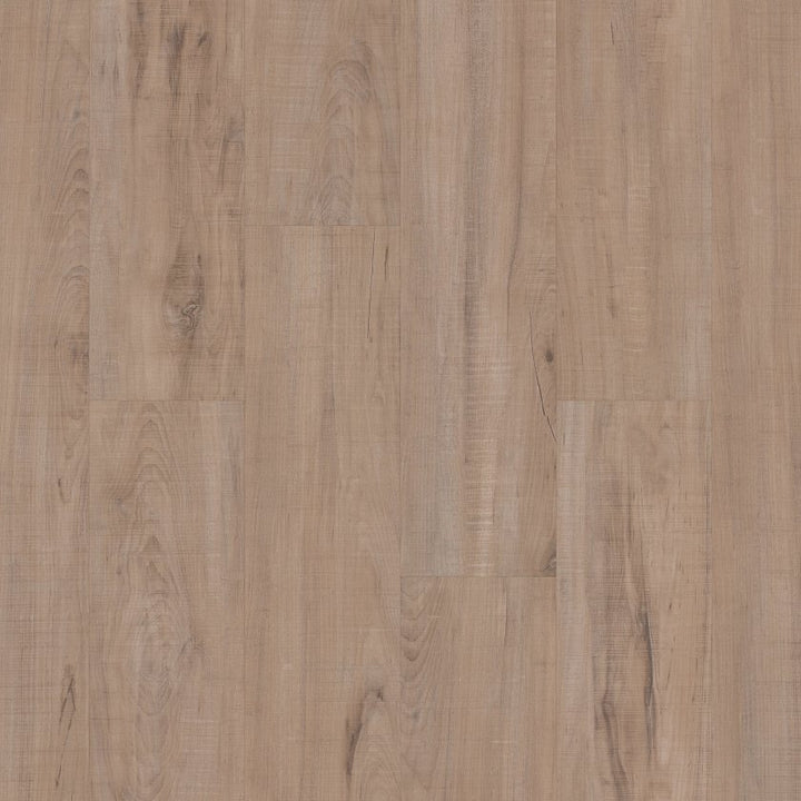 Shawfloors    Anvil Plus    Series  (Shaw)
