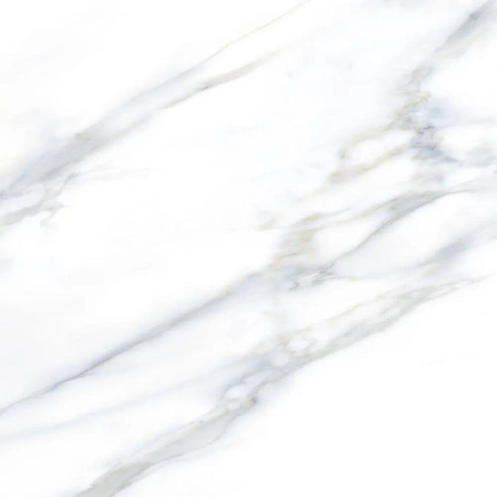 Renaissance ®    (CTS)