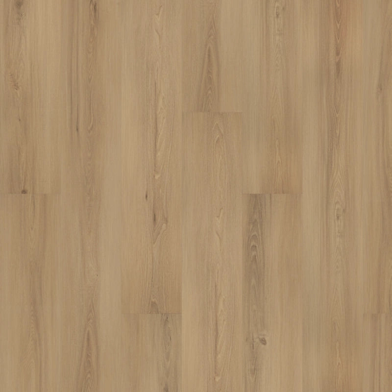 SolidTech Plus   Serie  (DAT)
