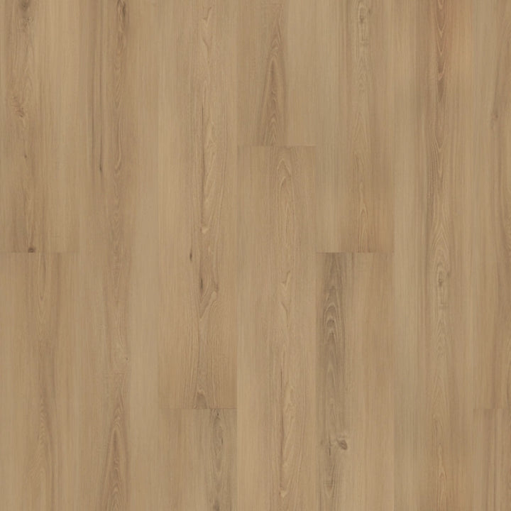 SolidTech Plus   Serie  (DAT)