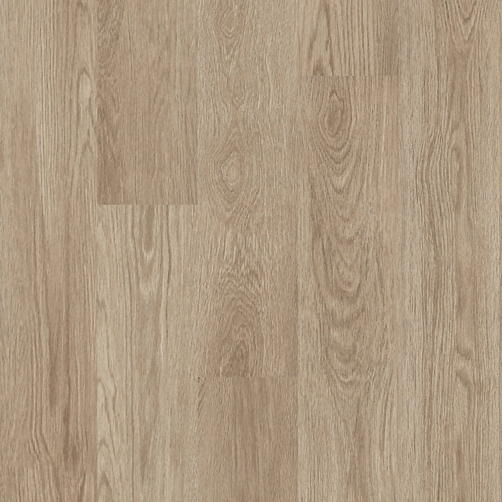SolidTech Select   Serie  (DAT)