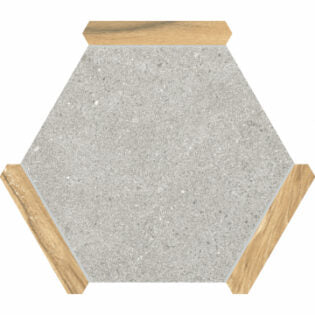 Avant ®   Series   (TTS)