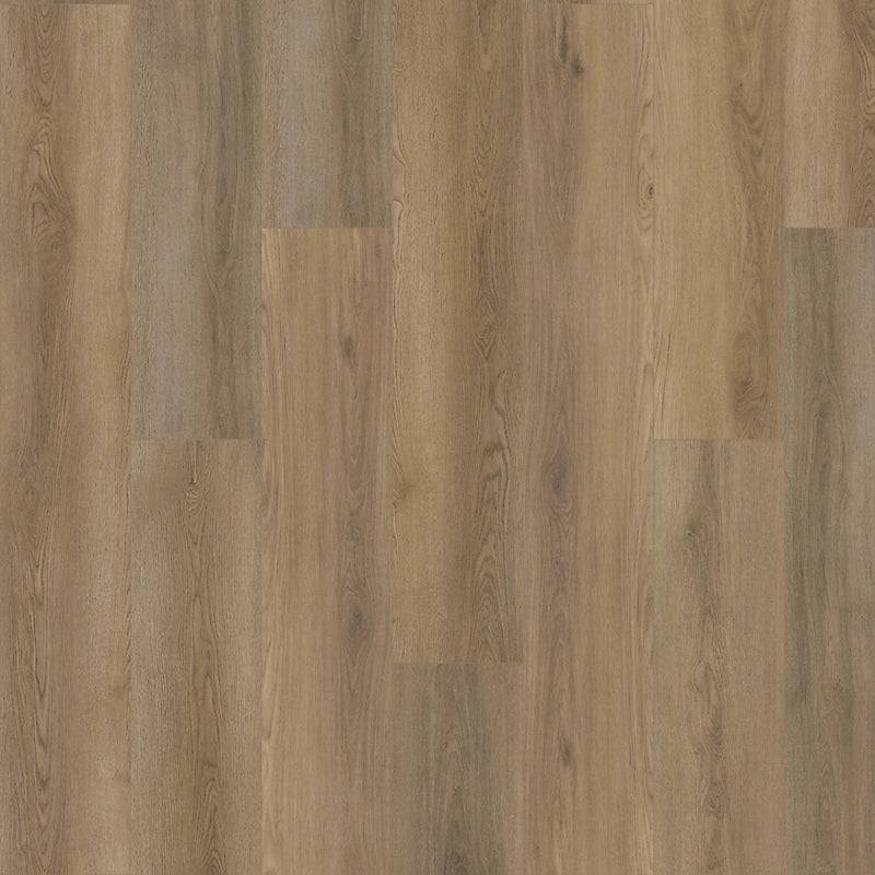 SolidTech Plus   Serie  (DAT)