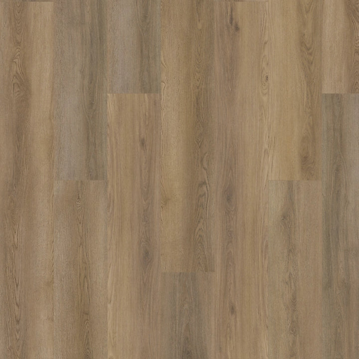 SolidTech Plus   Serie  (DAT)