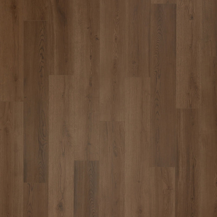 SolidTech Select   Serie  (DAT)