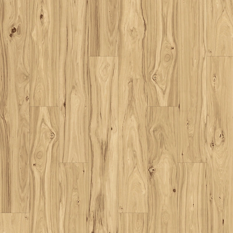 PureTech Plus   Serie  (DAT)