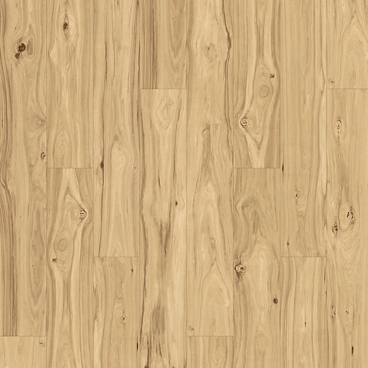 PureTech Plus   Serie  (DAT)