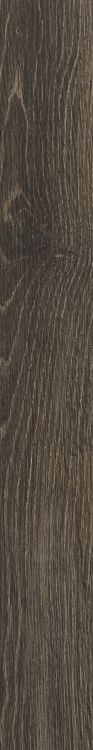 Elysium       Planches       Series ®    (EL)