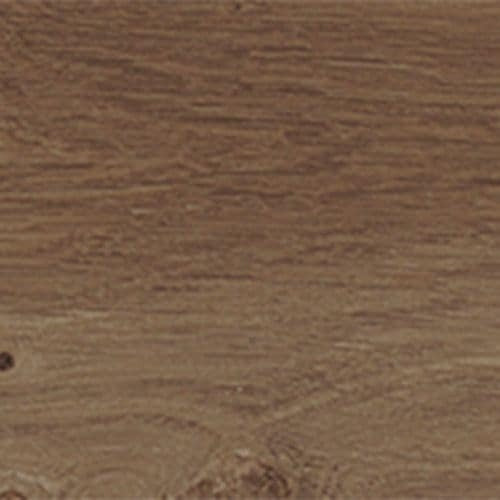 Merola Tile          Forest       Series