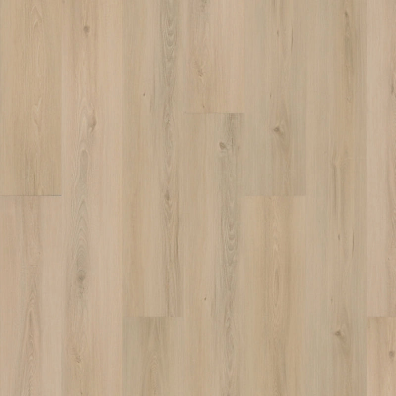 SolidTech Plus   Serie  (DAT)