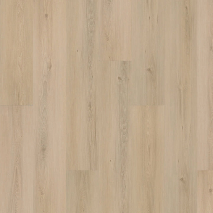 SolidTech Plus   Serie  (DAT)