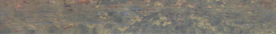 Vermont Slate Stone Look    Series ®    (ARL)