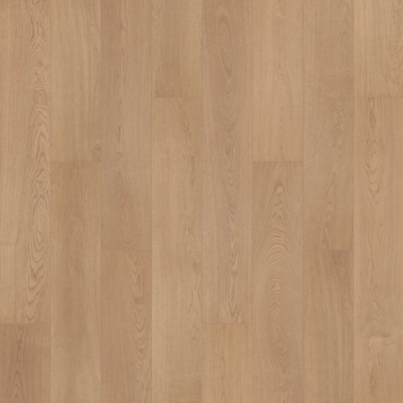 SolidTech R Plus   Serie  (DAT)
