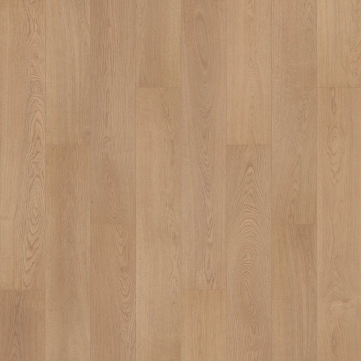 SolidTech R Plus   Serie  (DAT)