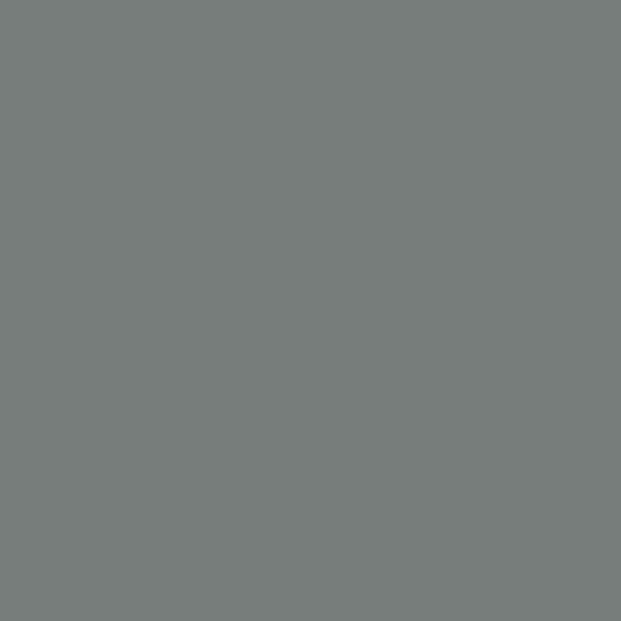 Color Wheel Linear (DAT)