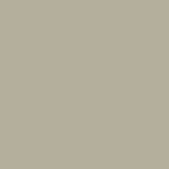 Color Wheel Linear (DAT)