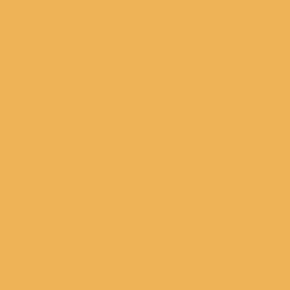 Color Wheel Linear (DAT)