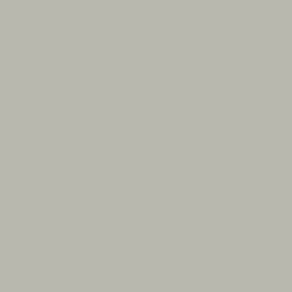 Color Wheel Linear (DAT)