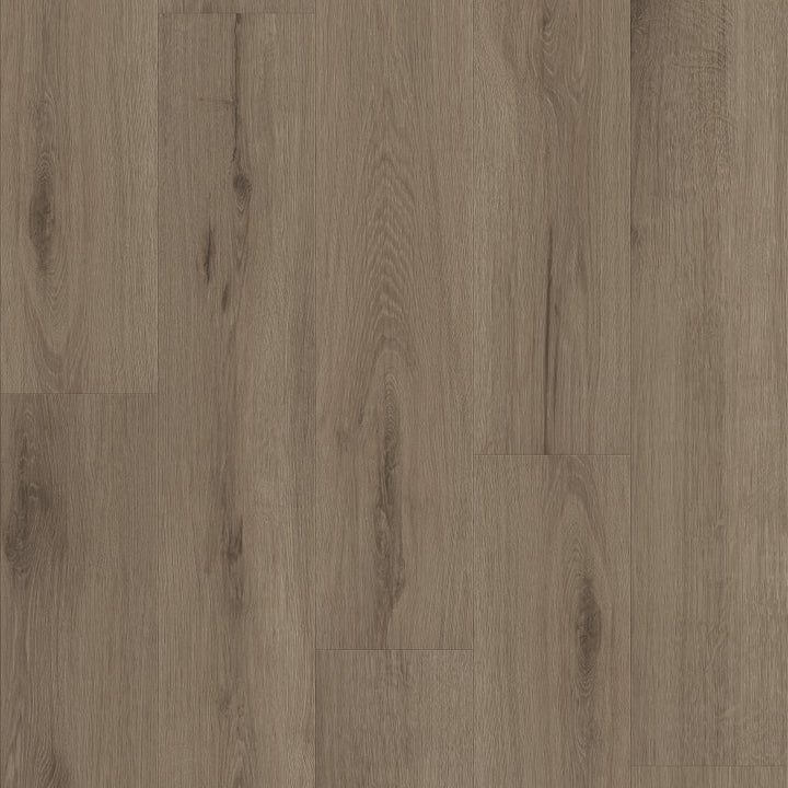 Shawfloors    Maltese    Series  (Shaw)