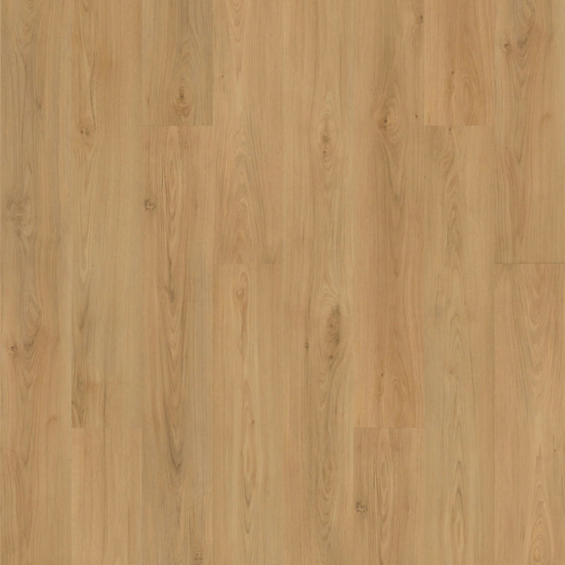 SolidTech Plus   Serie  (DAT)