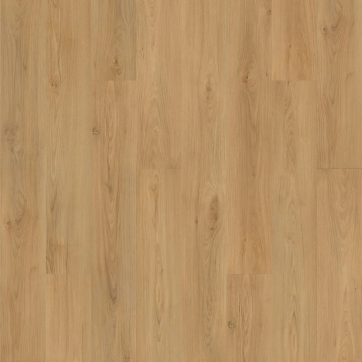 SolidTech Plus   Serie  (DAT)